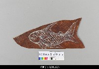 藏品(柬埔寨小皮影)的圖片